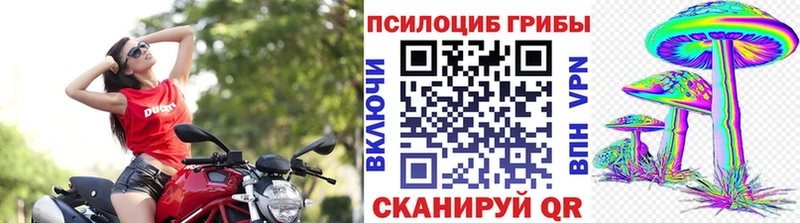 Псилоцибиновые грибы мицелий Тырныауз